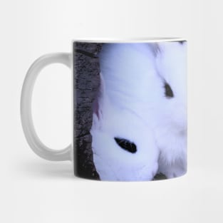 The rabbit Ladies / Swiss Artwork Photography Mug